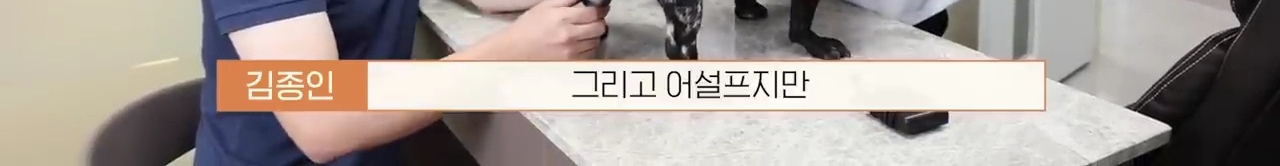 교통사고난 유기견 입양한 설채현 수의사 그리고 윙크 근황😉 | 인스티즈