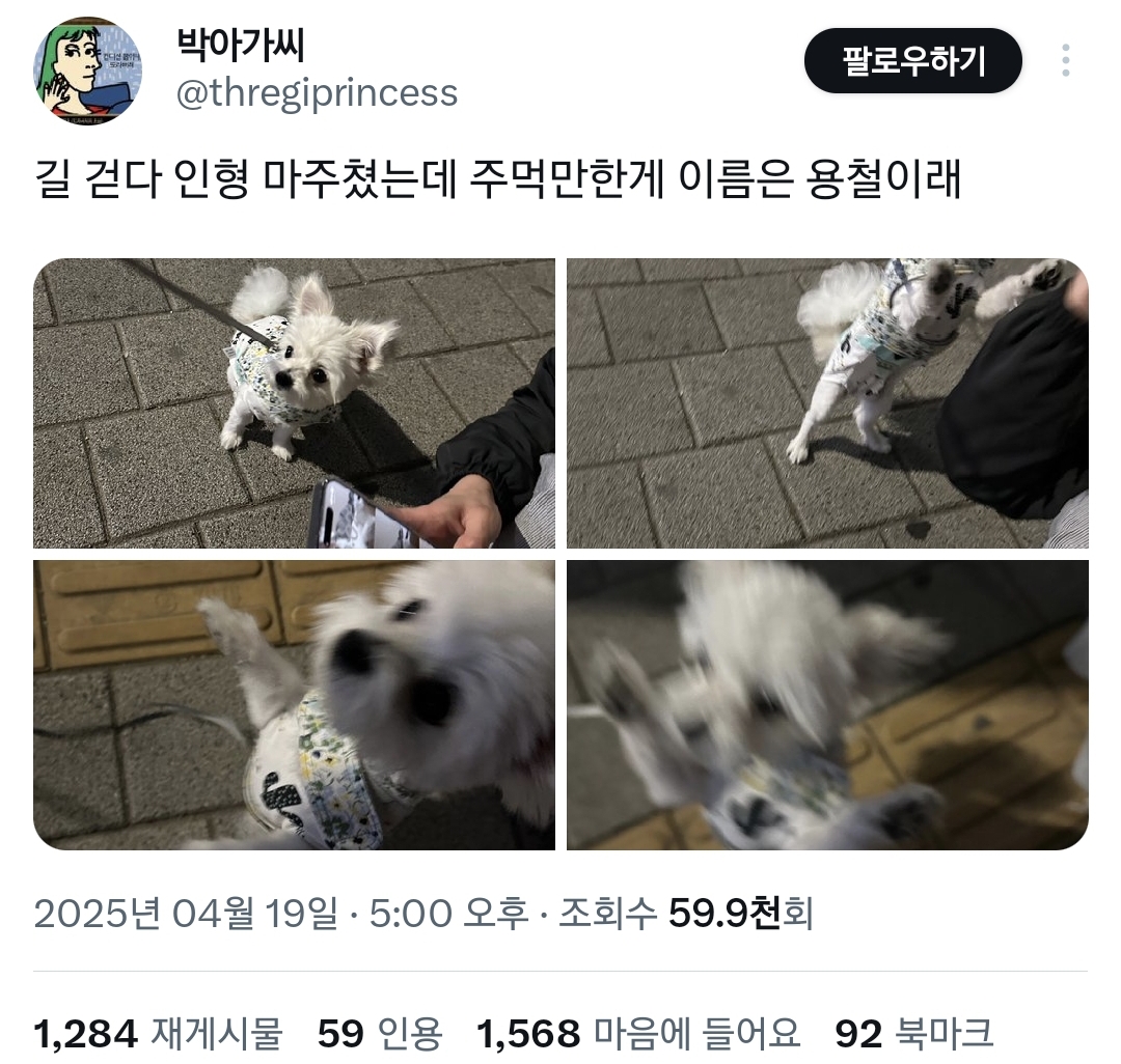 주먹만한 게 이름은 용철이래.twt | 인스티즈