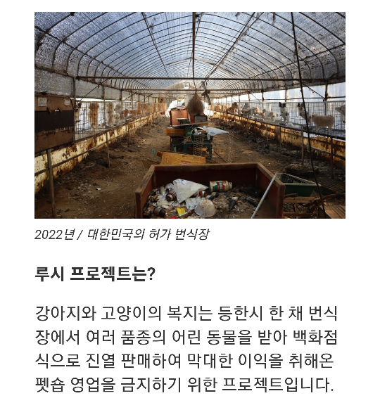 강아지번식장을 반대하는 여시들! 우리 행동하자! [카라-루시프로젝트서명운동] | 인스티즈