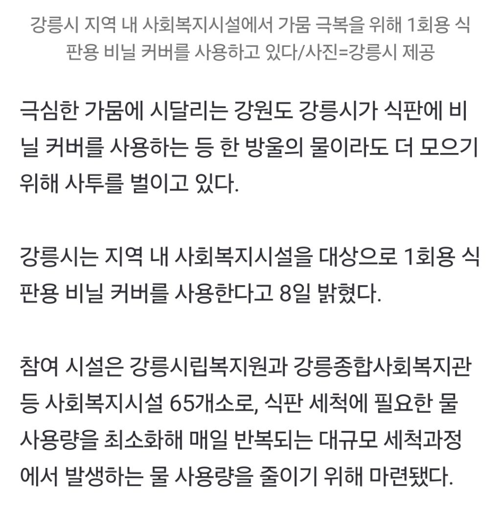 "가족들 페트병에 소변", 식판에 비닐 씌우기도…속타는 강릉 주민들 | 인스티즈
