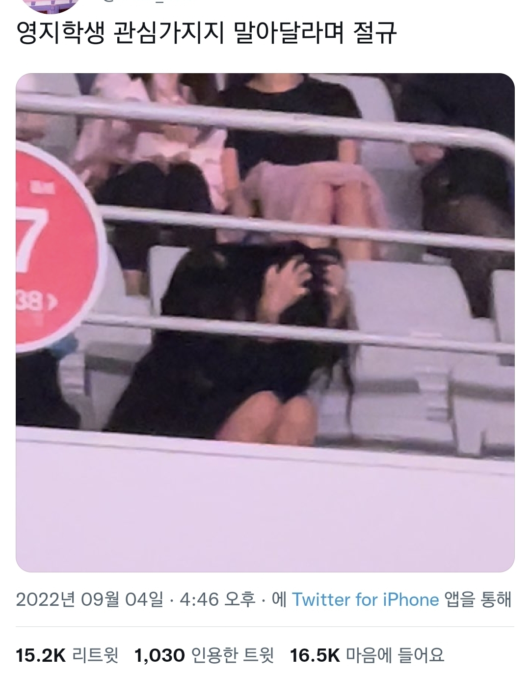 영지가 왜 절규했는지 알 것 같은 영지 시점 몬엑 콘서트.twt | 인스티즈