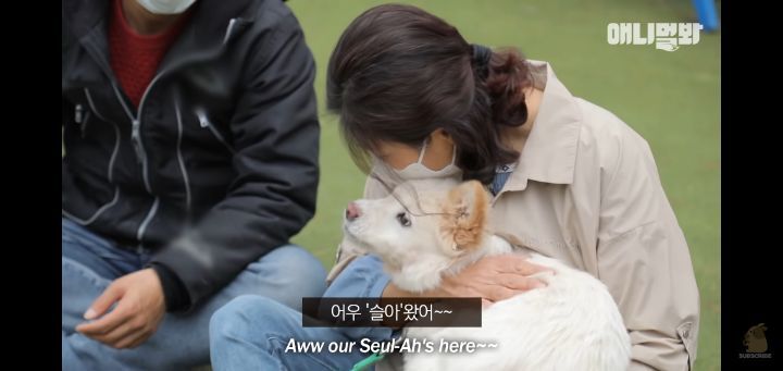 죽을것같은 우울증에 걸린 강아지 | 인스티즈