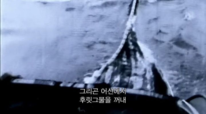 어느날 소방서에 고래가 조련사를 잡아 먹었다는 신고가 들어왔다 .jpg (스압주의) | 인스티즈
