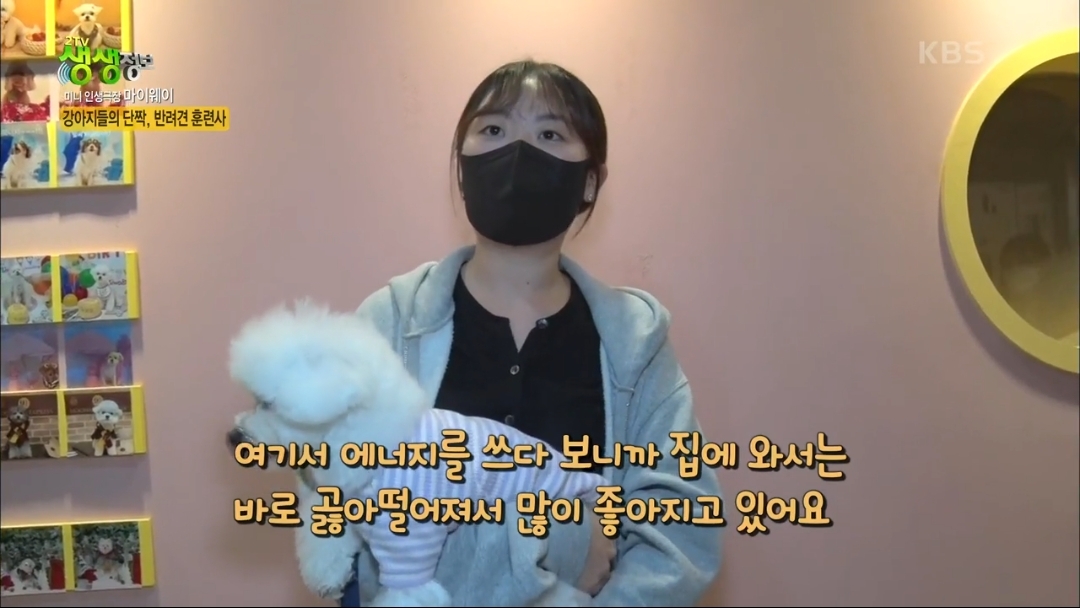 강아지 유치원.jpg | 인스티즈