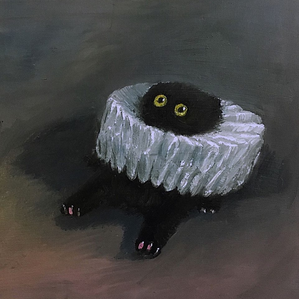새벽갤을 가르는 의자에 고양이 묻은 그림 | 인스티즈