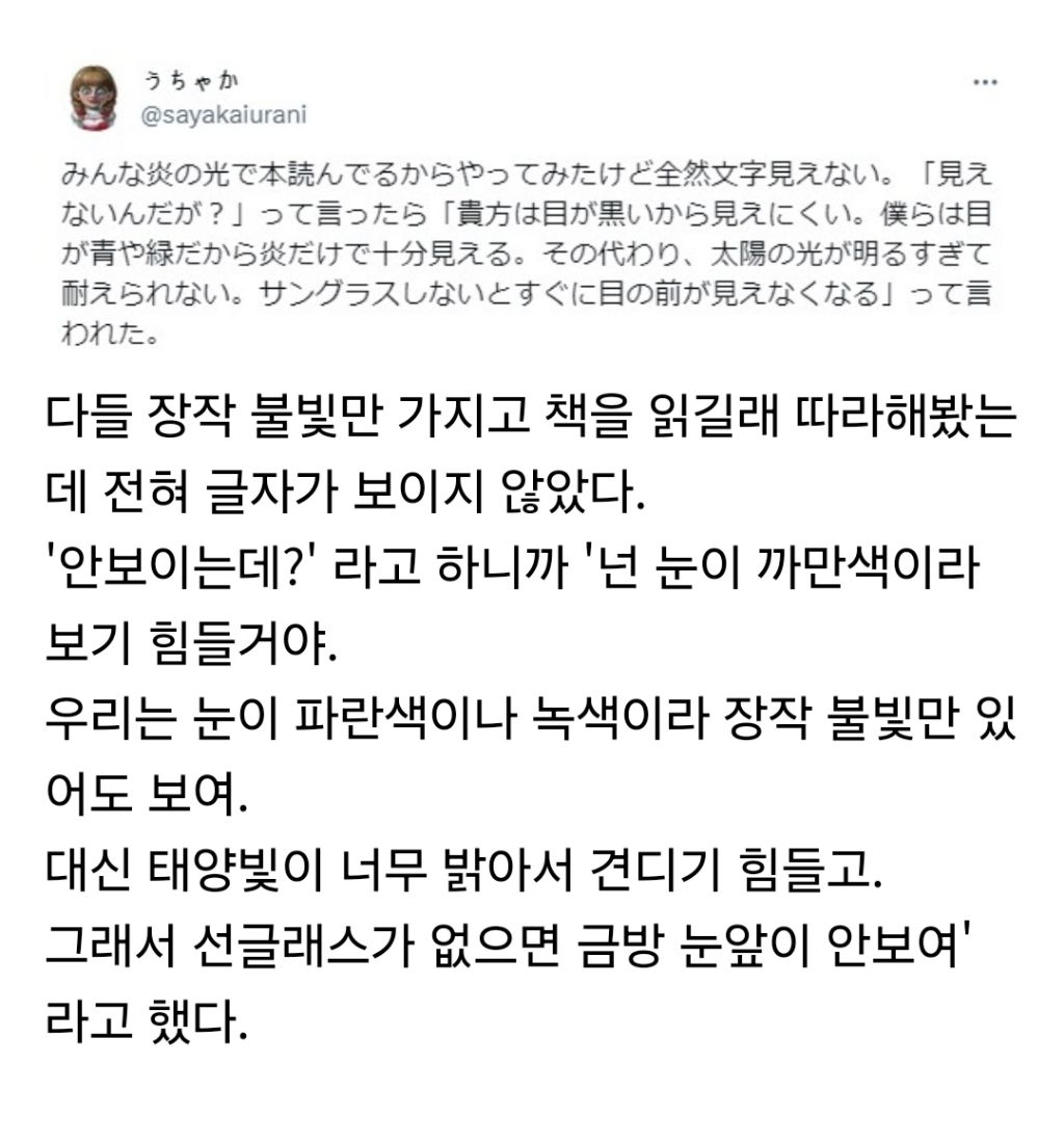싱기방기 동양인과 서양인의 안구 차이.twt | 인스티즈