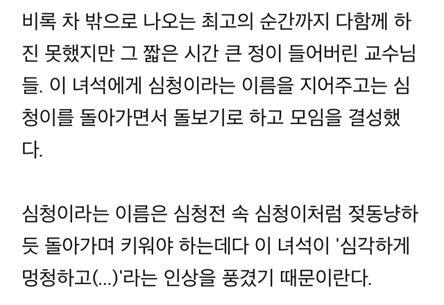 "차에 고양이 들어있음" 쪽지에 우르르 몰려나온 교수님들, 그 이후 | 인스티즈