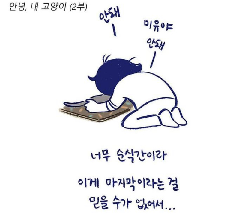 반려동물을 떠나보낸다는 것 | 인스티즈