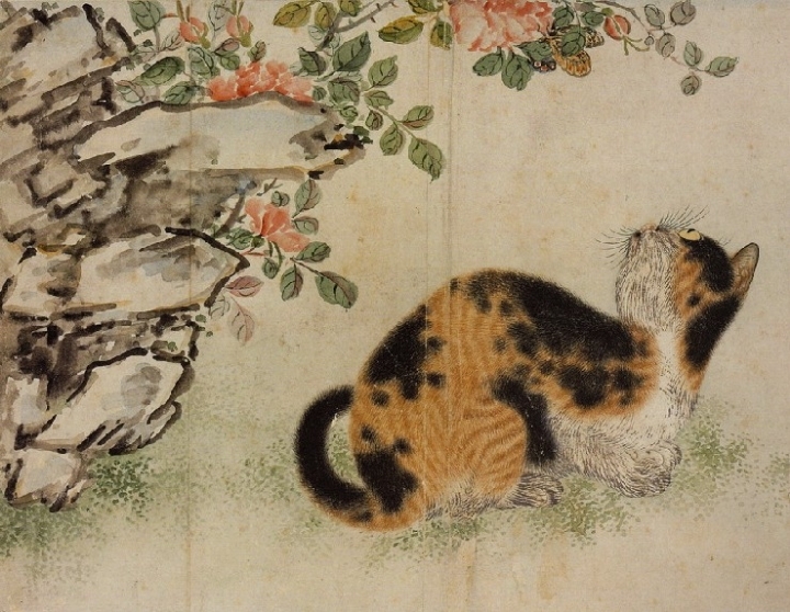 우리나라는 왜 고양이를 "나비야~"라고 부르게 됐을까 | 인스티즈