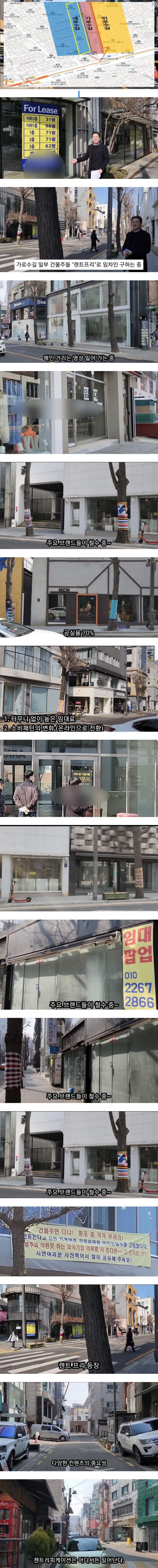 신사동 가로수길 근황 | 인스티즈