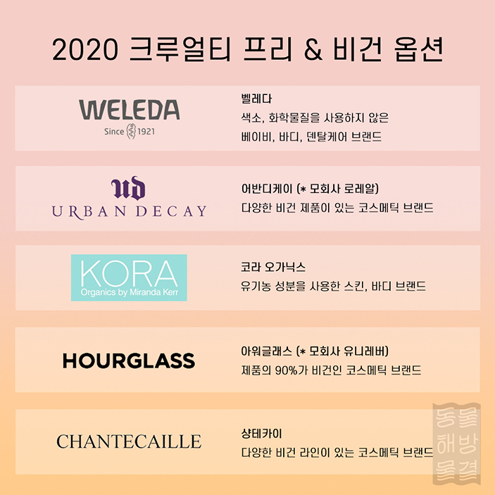 동물실험 안하는 브랜드 & 하는 브랜드 정리 | 인스티즈