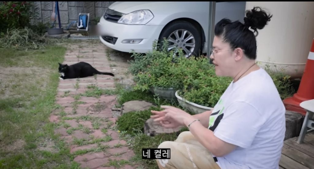 신발 물어 뜯은 고양이 찾아간 이영자 | 인스티즈
