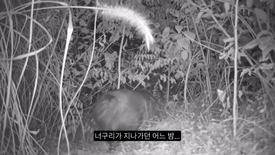 d0d8024d5b88bc6e2352690c6ef48c429959d555