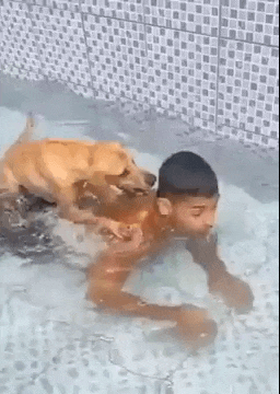 주인님 이건 물이라는거에요 | 인스티즈