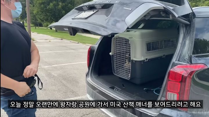 미국에서 강아지 산책 시키다 어느 한국인이 욕 먹은 이유 | 인스티즈