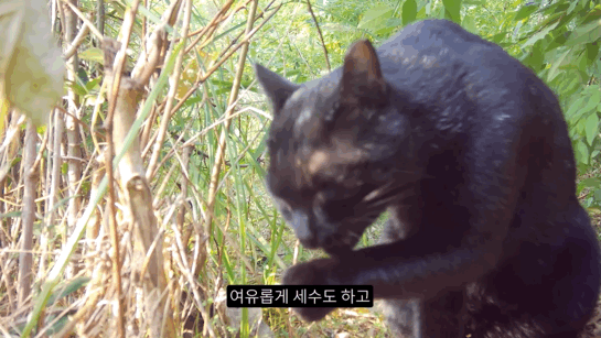 d0f5ed7d662a95a573bb511880b3db352ad6ec7e