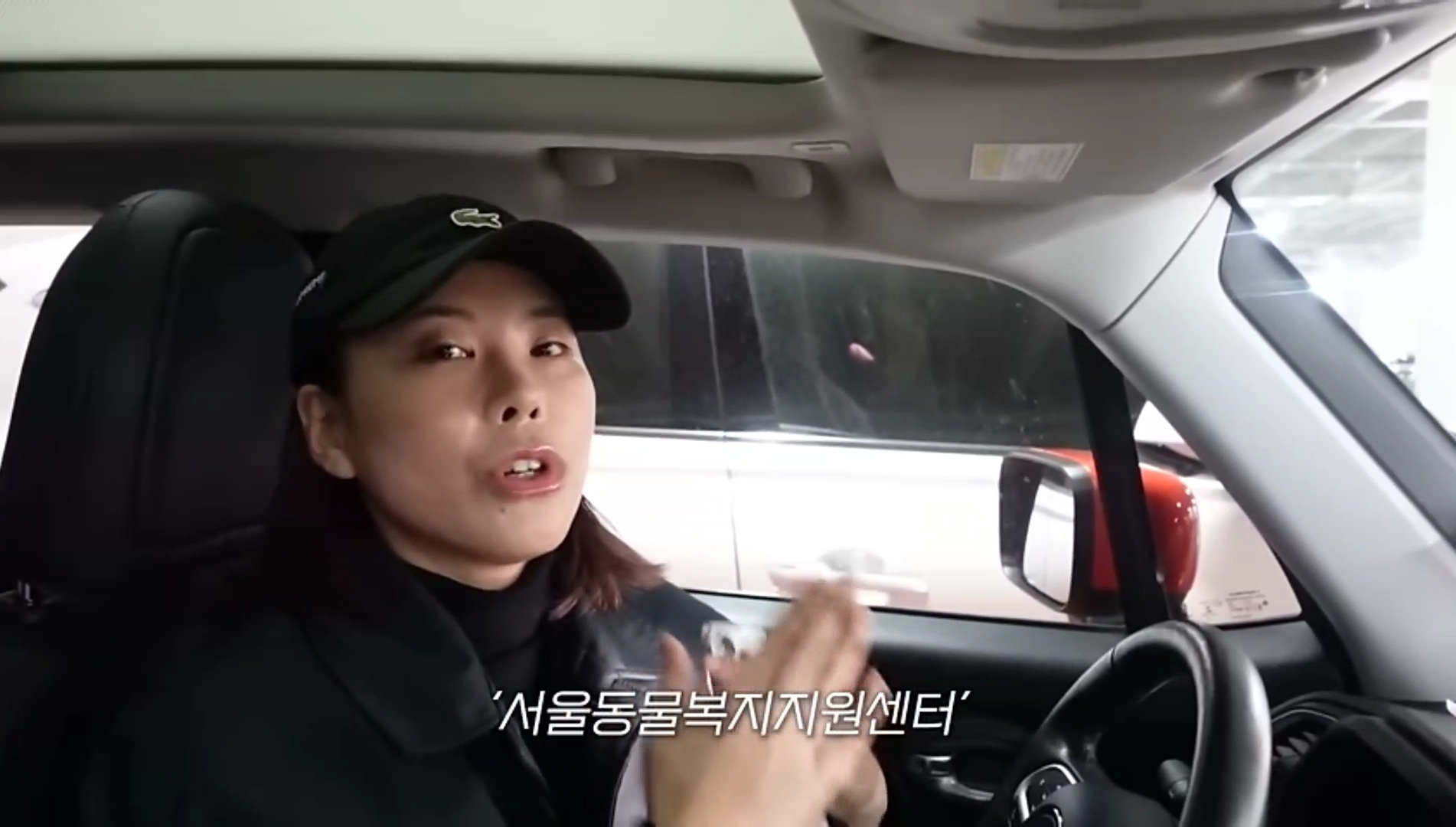 드디어 강아지 입양한 가비.youtube | 인스티즈