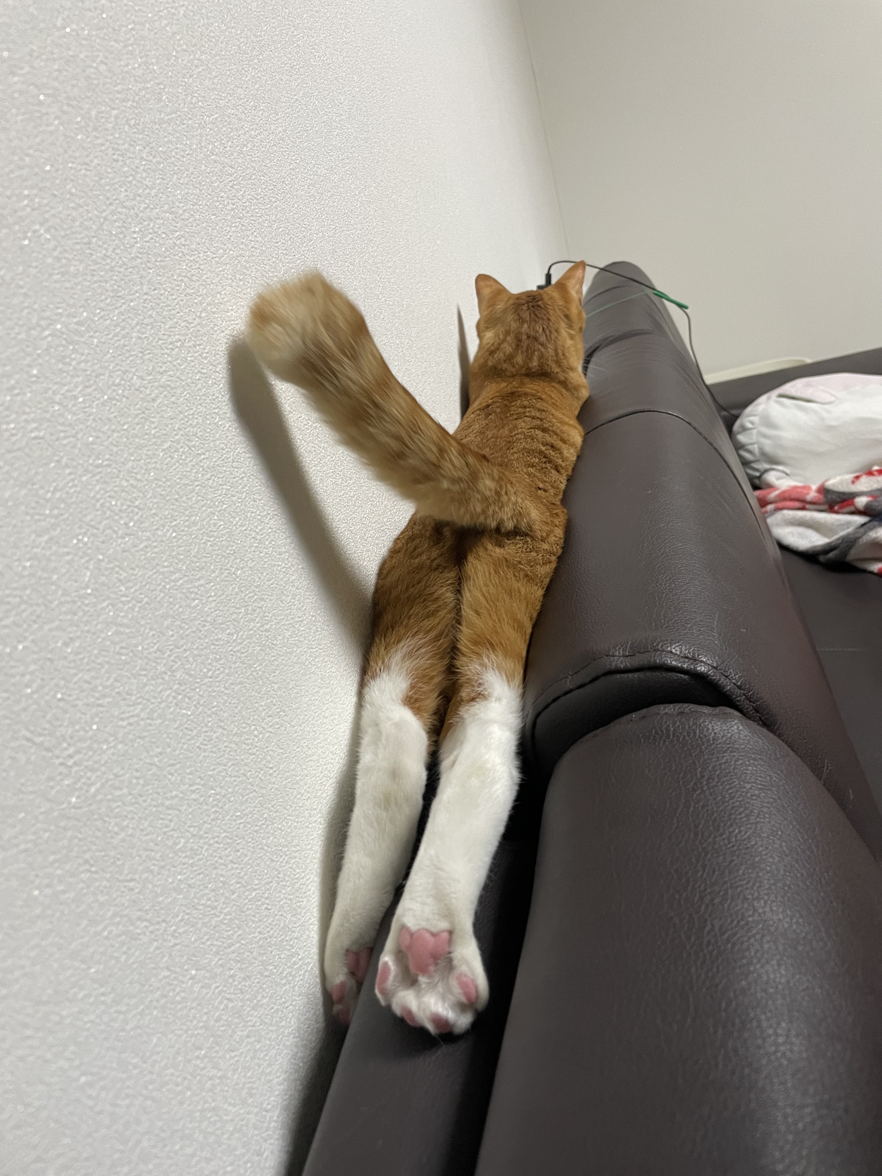 가... | 인스티즈