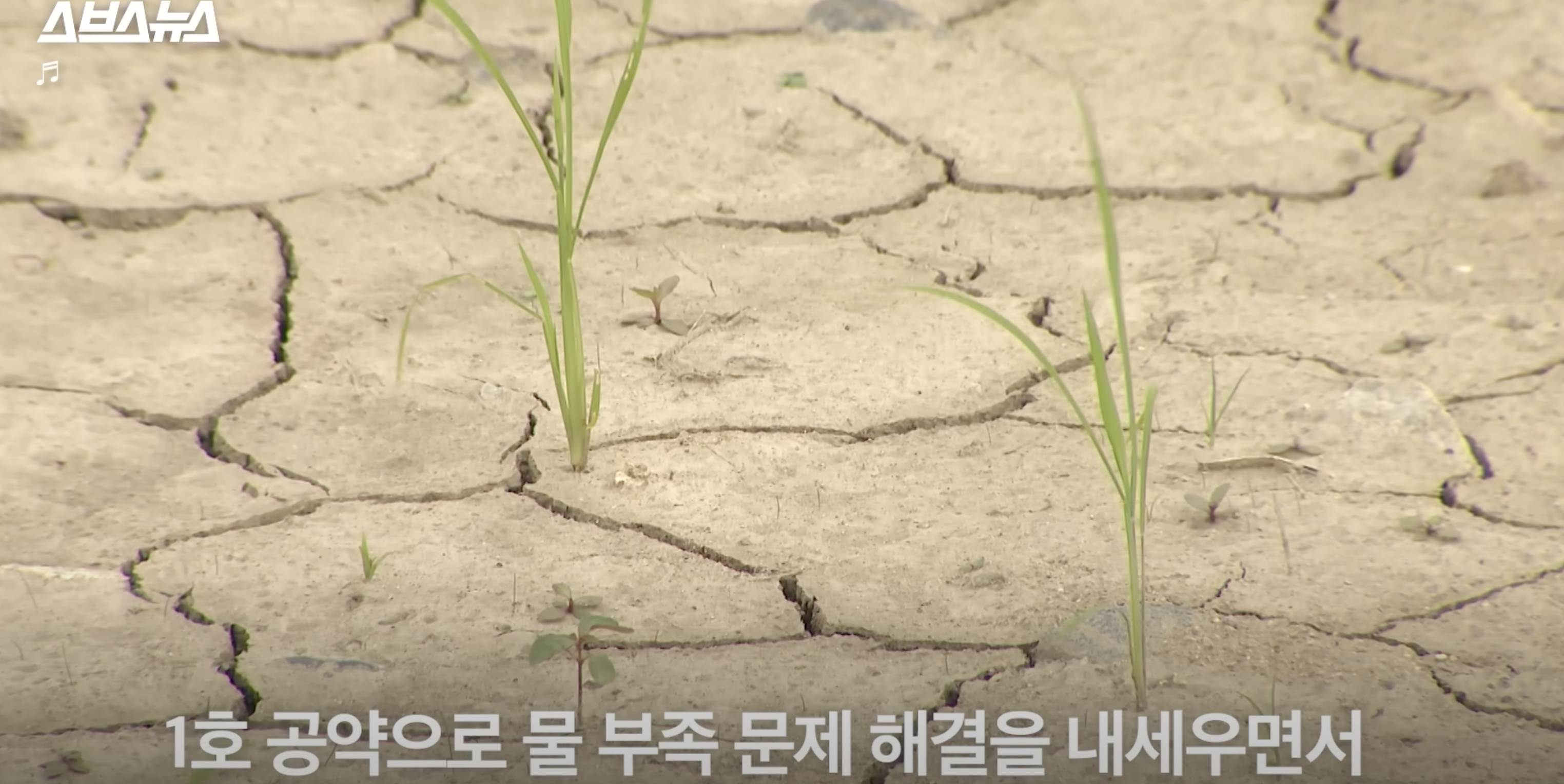 대통령한테 쌉소리해서 전국적으로 욕먹었던 강릉 시장과 도암댐 | 인스티즈
