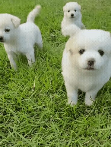 d12c2c1a82167f60c40f009073b1d1e9a3023d47