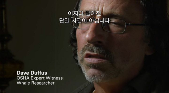 어느날 소방서에 고래가 조련사를 잡아 먹었다는 신고가 들어왔다 .jpg (스압주의) | 인스티즈