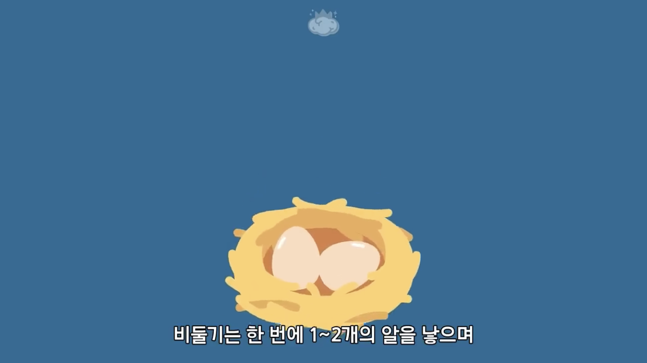 거리에 비둘기가 이렇게 많은데 왜 새끼 비둘기는 안 보일까? | 인스티즈