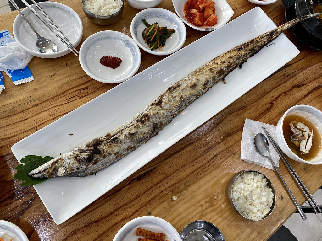 제주 맛집 타래.twt | 인스티즈