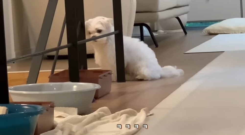 새로 이사온 주택에 물이 새요.jpg | 인스티즈