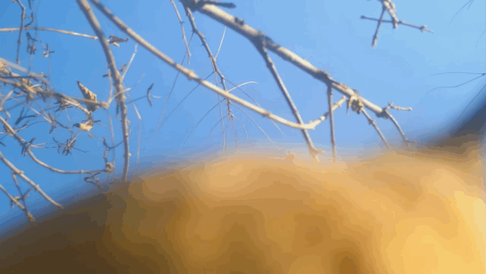 d18b0e17b742a0e26f7a7822abe61ce0a462f6dc