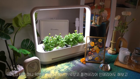 내가 사고 싶어서 찾아본 LG 틔운 미니 (가정 식물 재배기) | 인스티즈