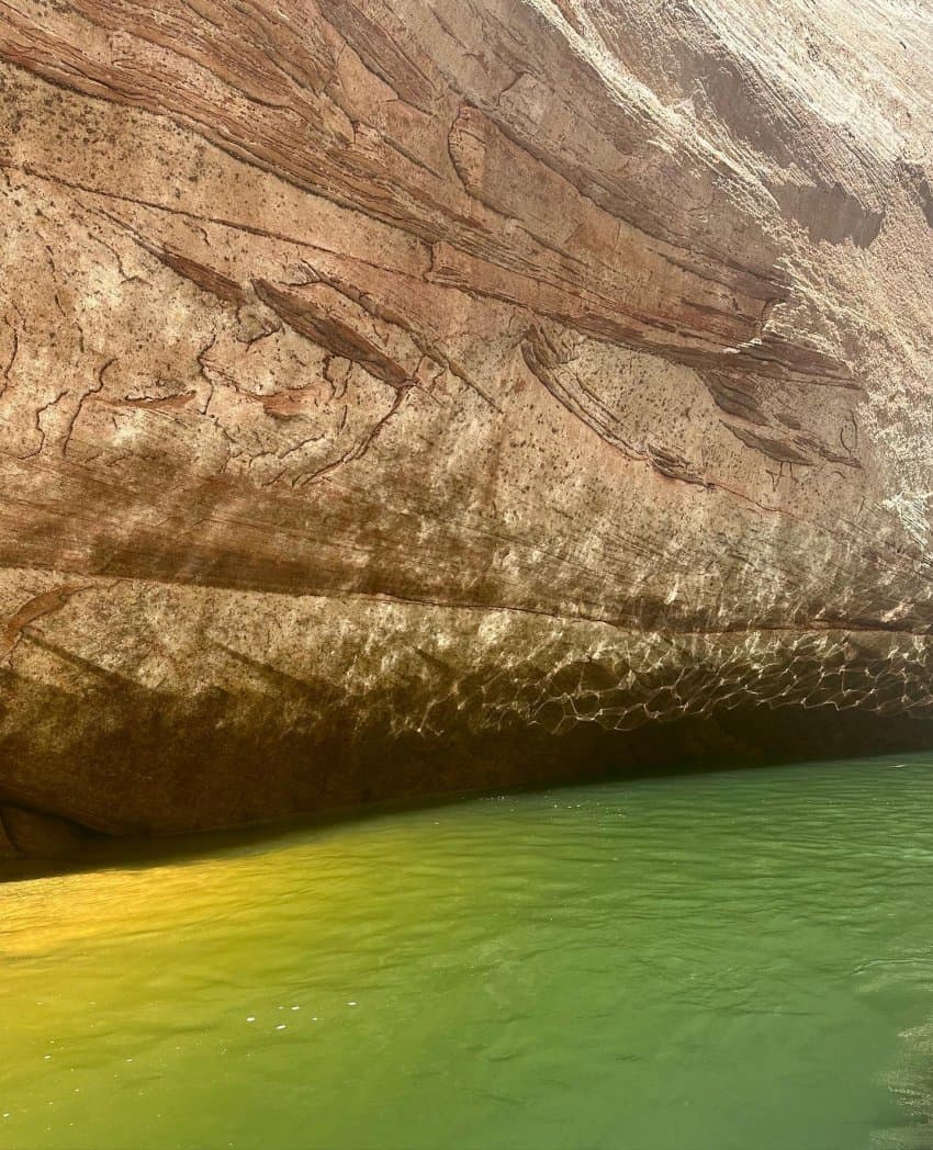 끝내주는 휴가 보내고 온듯한 블랙핑크 제니 | 인스티즈