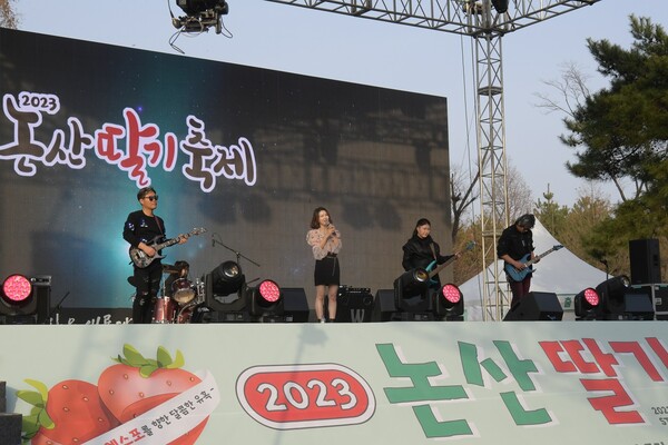 "나이 먹어서 그런가 무근본 지역 축제가 점점 흥미롭게 느껴짐" | 인스티즈