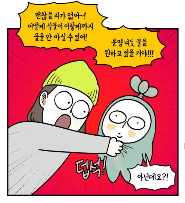 다육이 키우는 초보자들이 제일 많이 하는 실수 | 인스티즈