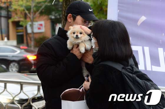 올해도 기대되는 '수능 강아지' 모음 | 인스티즈