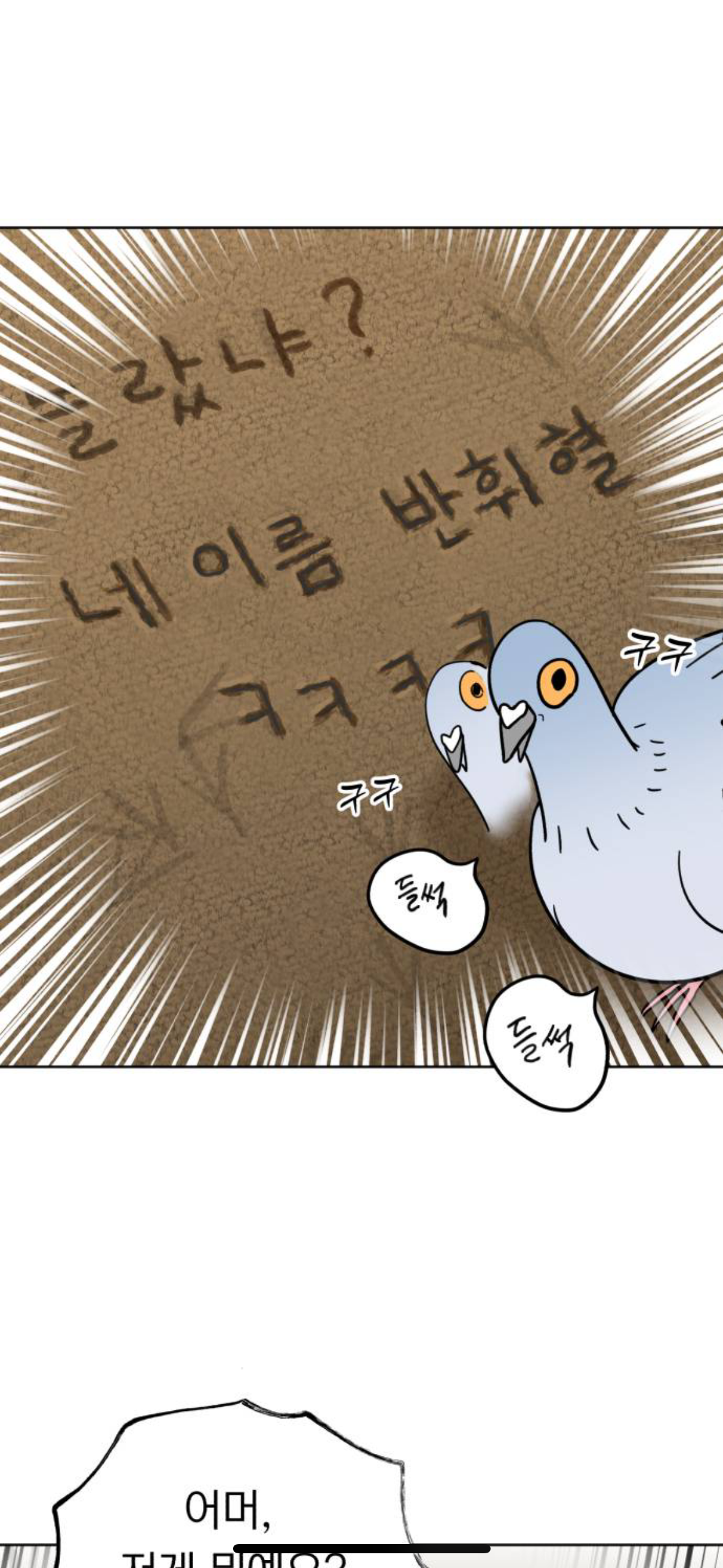 아니 내가 살다살다 비둘기를 볼려고 돈을쓰네 | 인스티즈