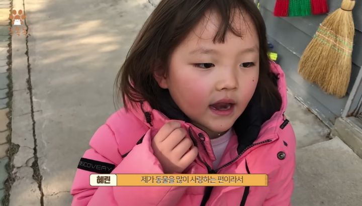 7살 아이 눈에 비친 유기견 보호소는? | 인스티즈