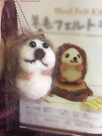 펠트 이미지