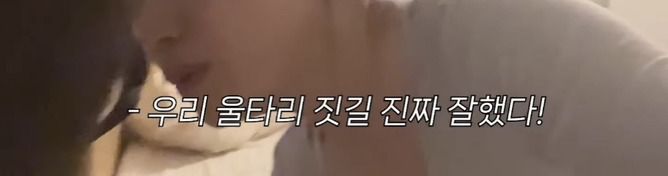 미국 이민갔는데 집에서 곰 나옴… | 인스티즈