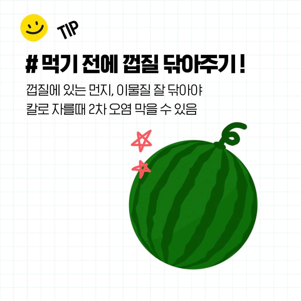 꿀수박 찾는 방법부터 보관 방법까지 알려드림 🍉 | 인스티즈