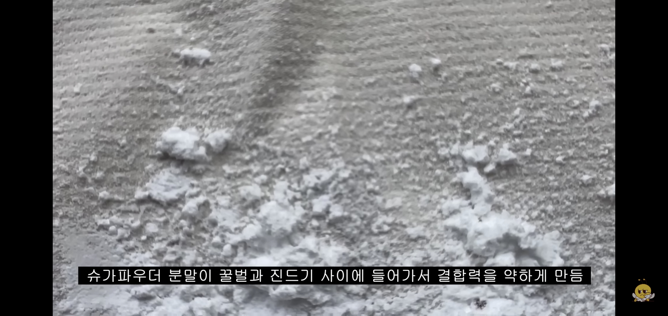 꿀벌들을 설탕에 굴려 설탕 범벅으로 만드는 유튜버.jpg | 인스티즈