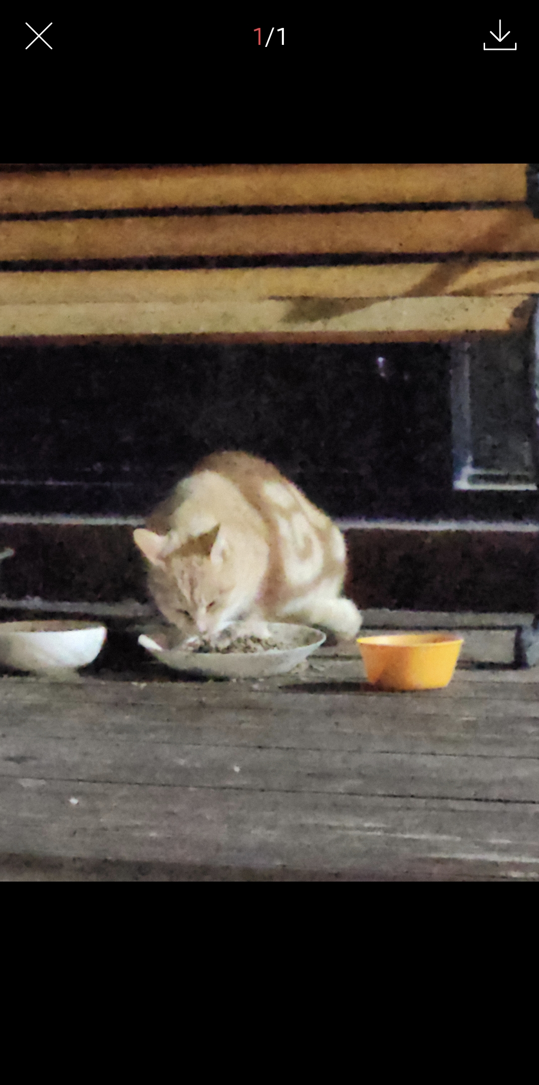 여시 캡쳐 몇개 | 인스티즈