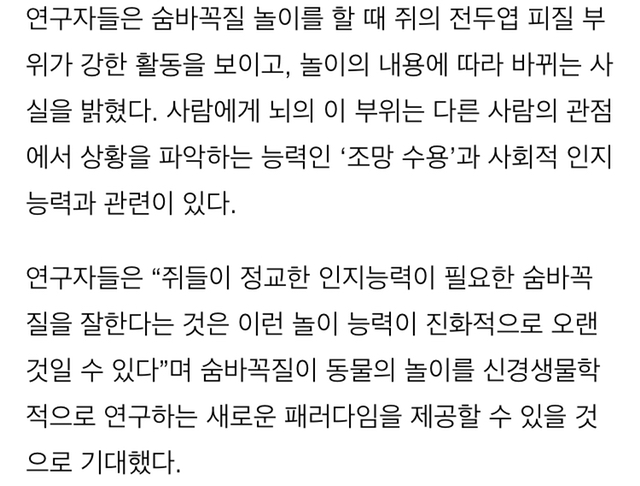 쥐도 사람과 숨바꼭질 놀이 즐긴다 | 인스티즈