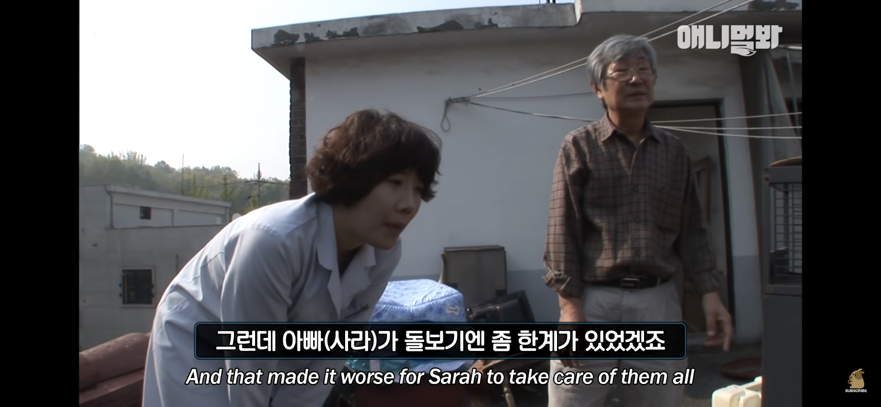 길고양이 목에 쪽지를 달자 생긴 영화같은 일 | 인스티즈