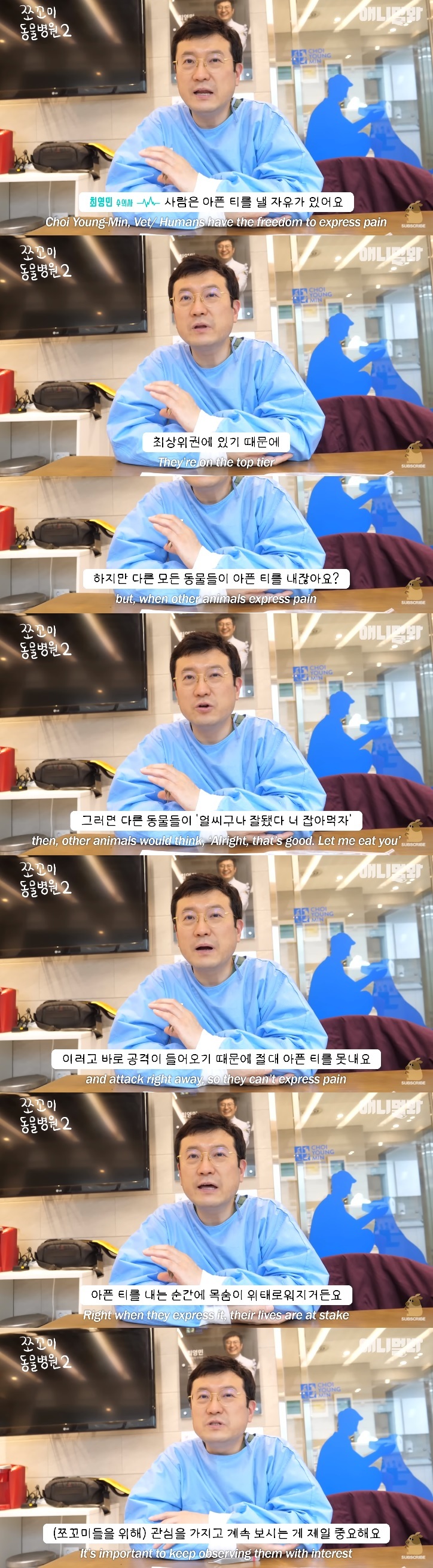 동물들이 아파도 아픈 티를 안내는 이유 | 인스티즈