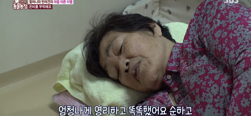 서로를 위해 헤어지는 할머니와 은비 | 인스티즈