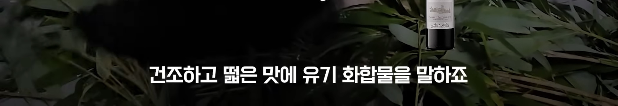 아기 판다들이 꼬질한 이유 | 인스티즈