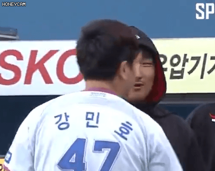 야구대장 이미지