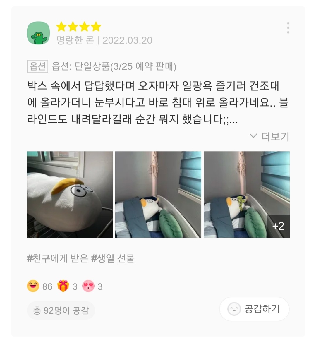 재치있는 오둥이 바디필로우 리뷰들 | 인스티즈