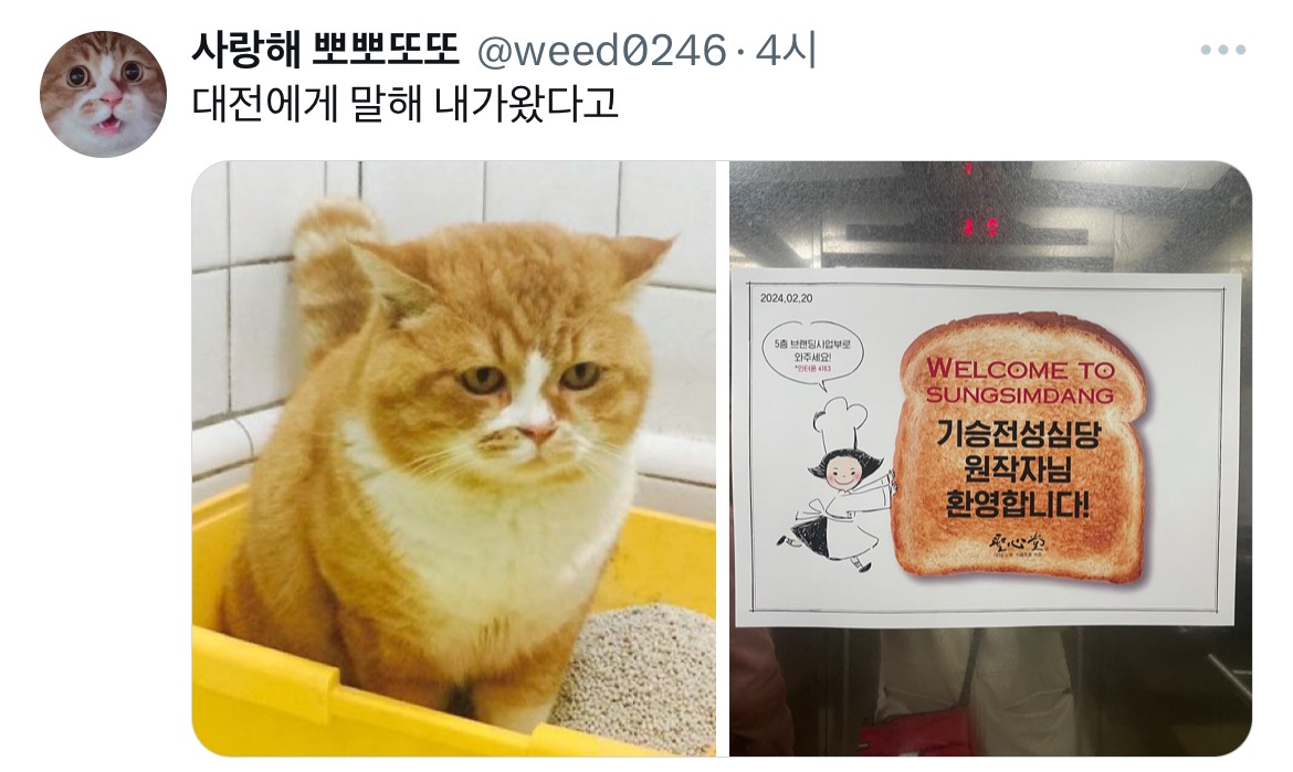 기-승-전-성심당 밈 원작자 나타남...twt +후기추가 | 인스티즈