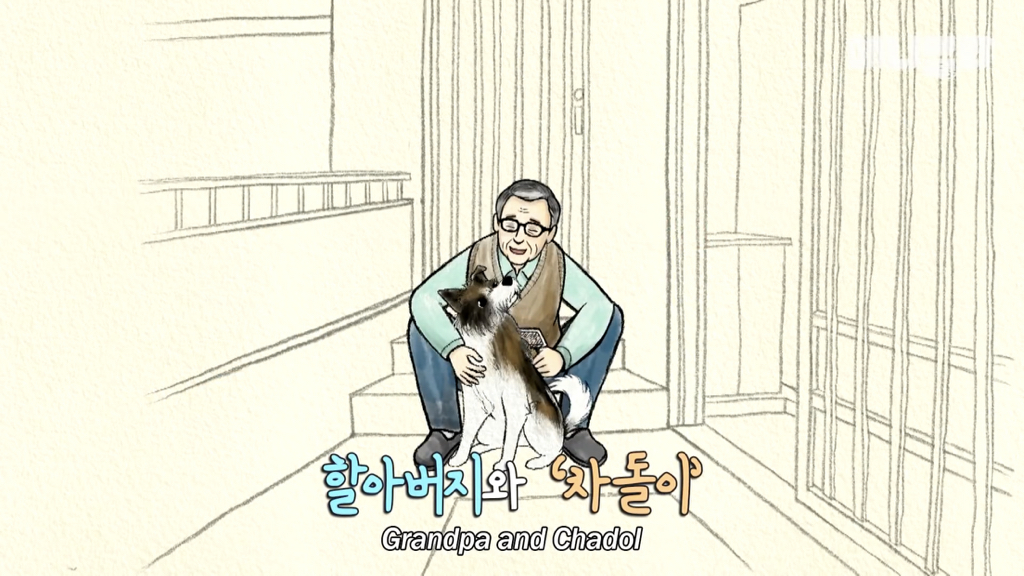 1년만에 자신을 두고 간 주인을 만난 강아지 반응 | 인스티즈